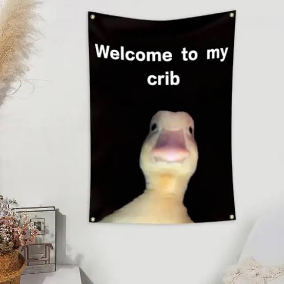 Welcome To My Crib Wall Flag